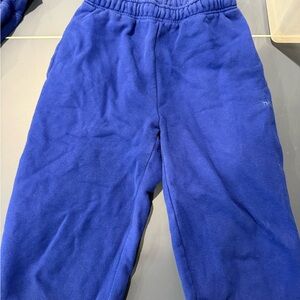 Aritzia Blue Sweatpants